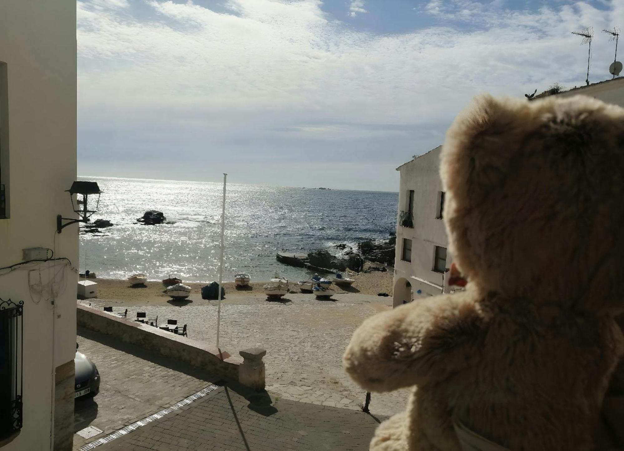 Calella Port Bo - Sea Sand Sun カレリャ・デ・パラフルジェリ エクステリア 写真